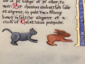 41263752_10155997839977569_4839957092053811200_n